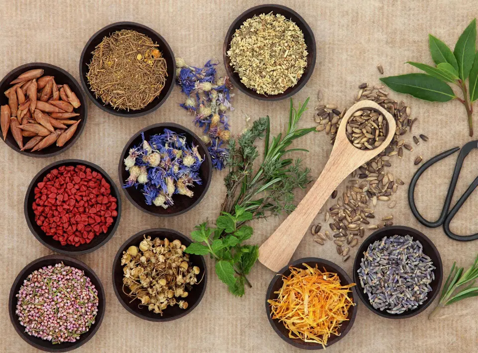 A table topped with bowls of different types of herbs.