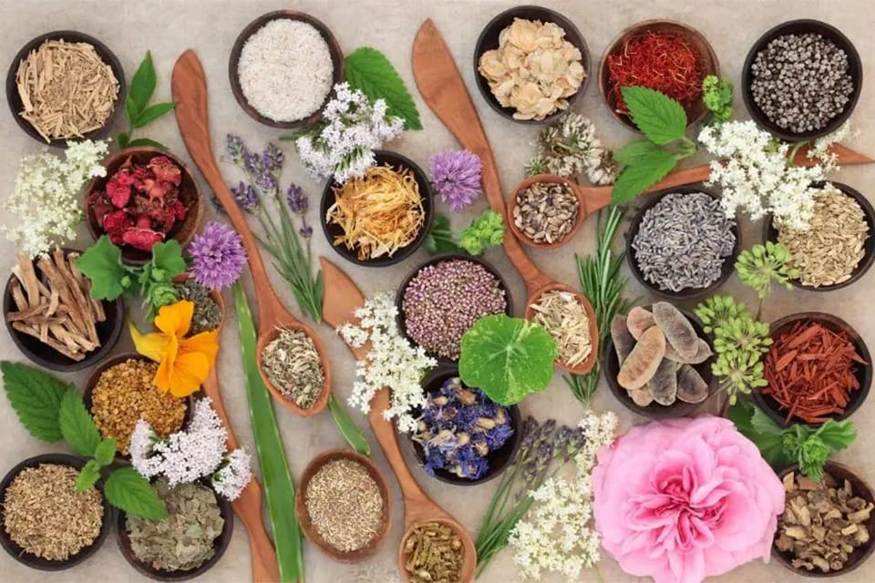 A table topped with lots of different types of herbs.